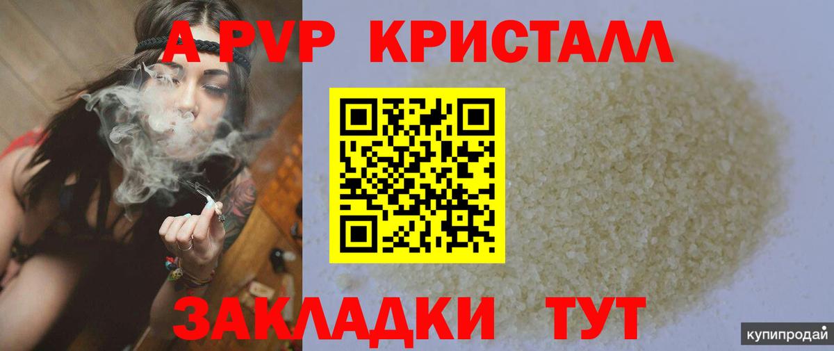 Alfa_PVP СК Гудермес