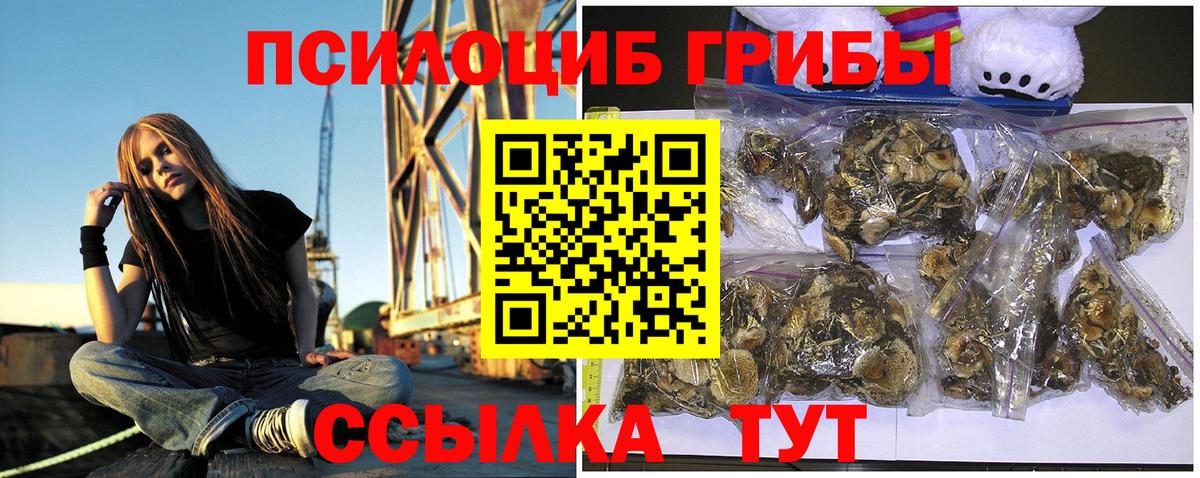 Гудермес  Галлюциногенные грибы Magic Shrooms  Вход с VPN 